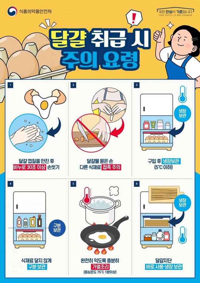달걀 만진 손 안 씻고 요리하다 ‘이 병’ 걸린다…여름철 주의보