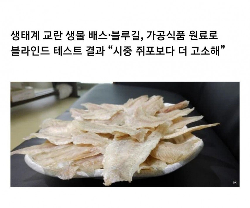 먹는데 진심인 한국인…생태계 교란어종도 어묵·어포로