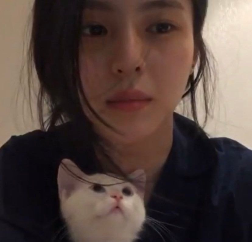 한소희 괴롭히는 냥이들 - 꾸르