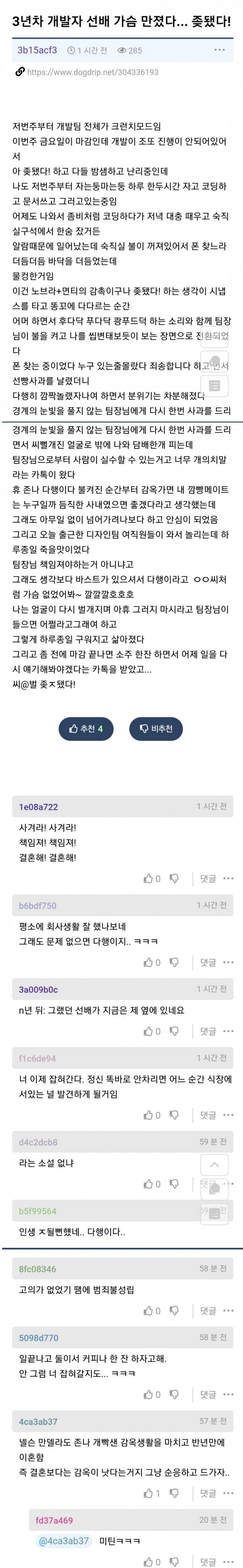 노브라 선배 가슴을 만진 개발자.jpg