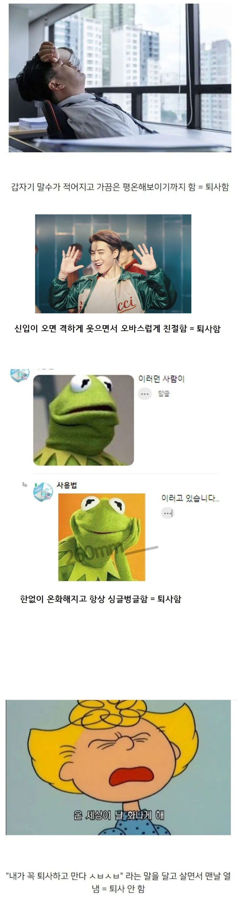 퇴사하는 사람 정확하게 구분하는 기준