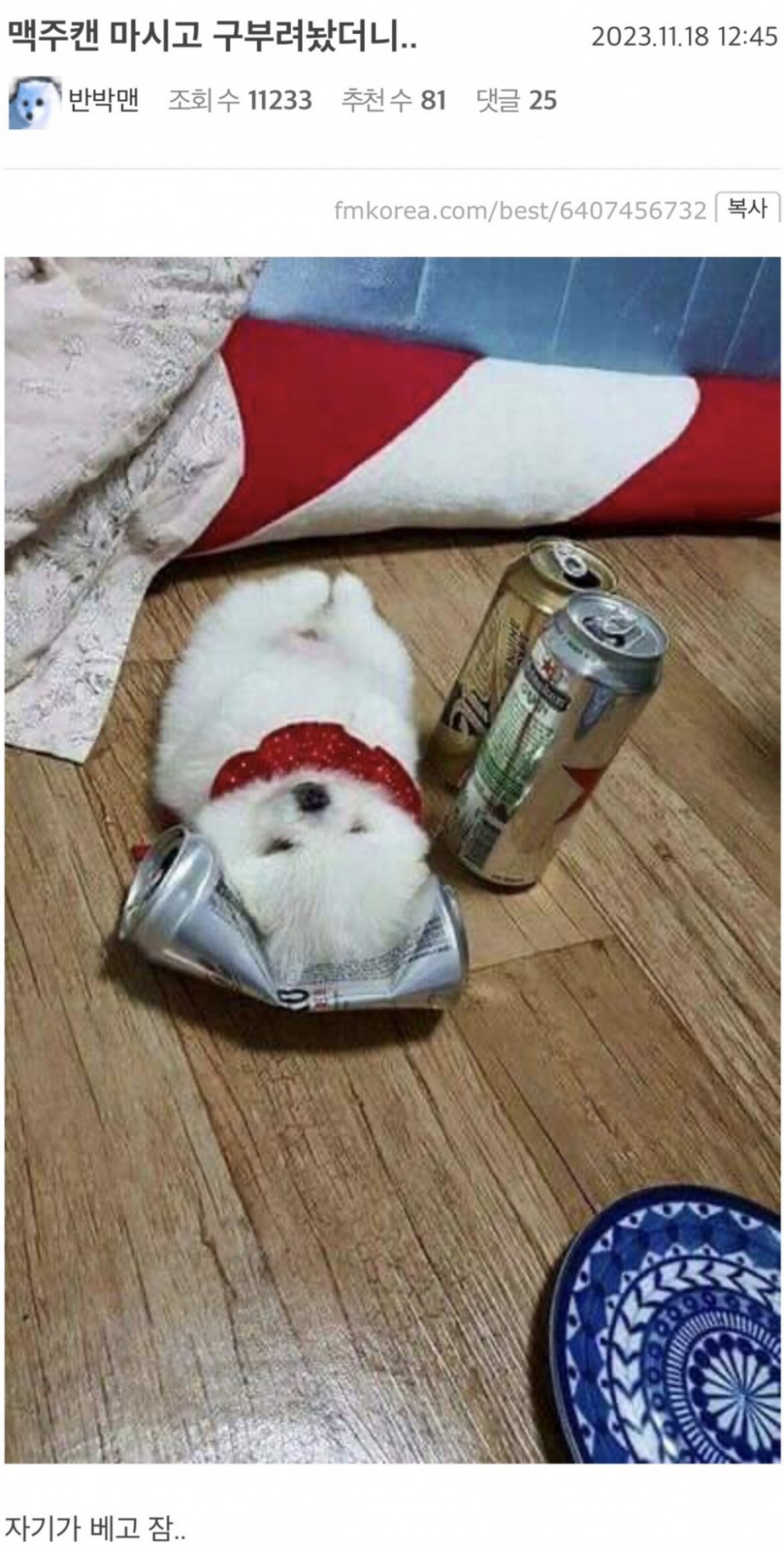 맥주캔 마시고 구부려놨더니