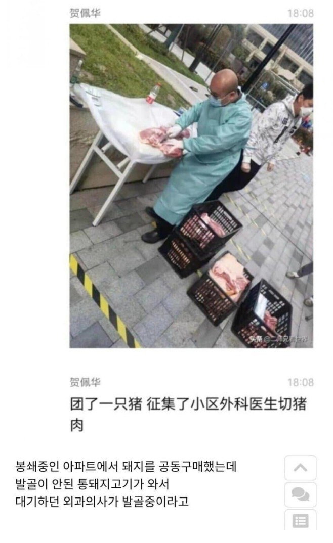 중국 봉쇄중인 상하이 근황 레전드