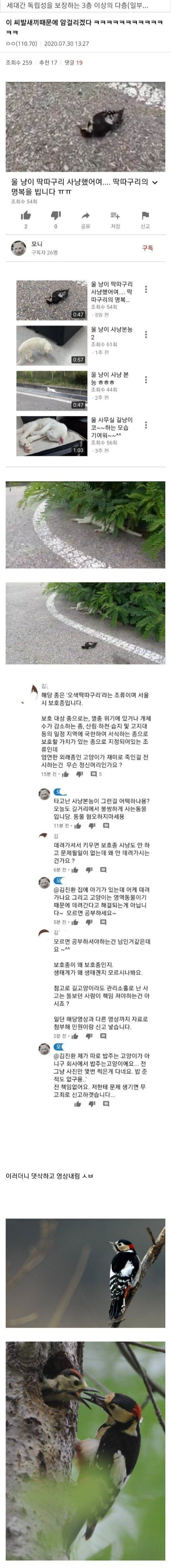디시 동물갤 난리났던 사건