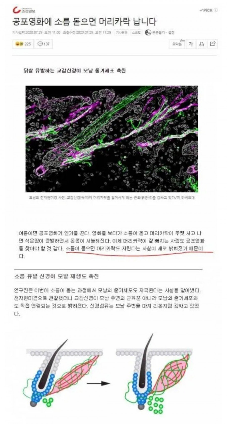 오늘부터 1일 1 공포영화 조지기 캠페인 시작