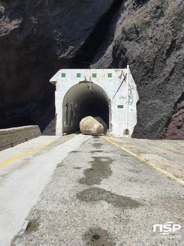 태풍 마이삭이 울릉도에 남기고 간 흔적