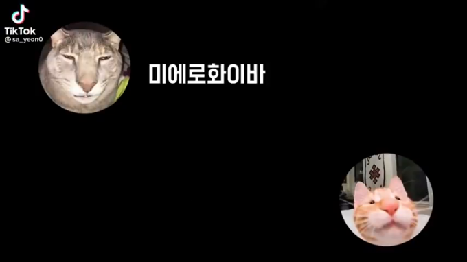 귀염주의) 미에로 화이바 바이럴