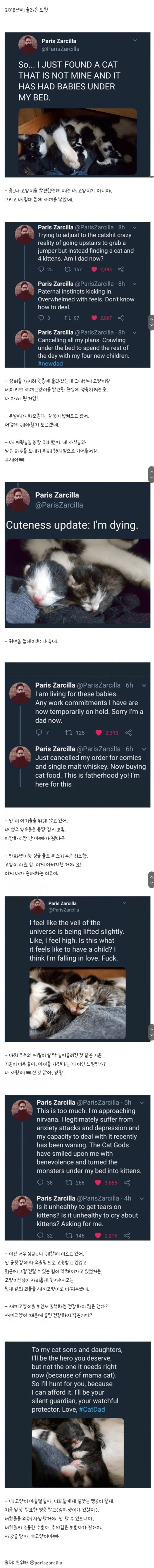 우울증 환자 집에 무단침입한 고양이 가족