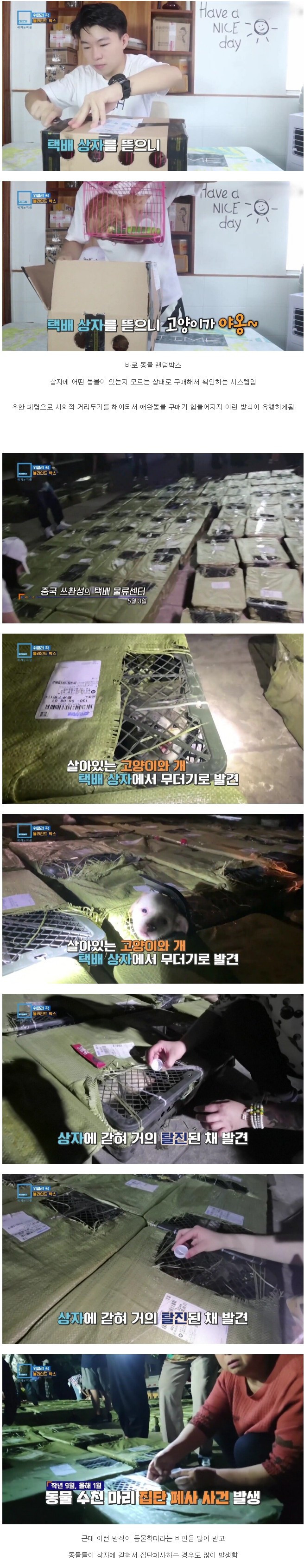 요즘 중국에서 유행하는 랜덤박스