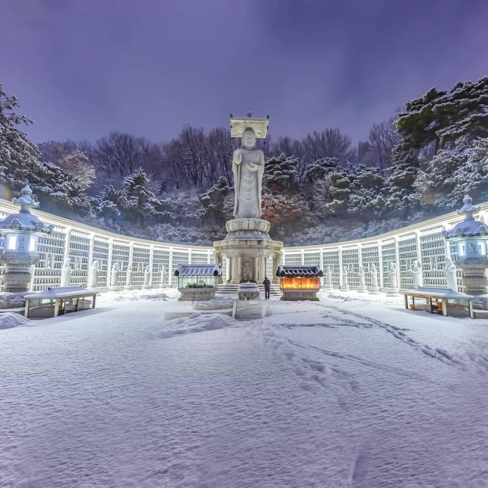 외국인이 레딧에 올린 한국 사진들 .jpg