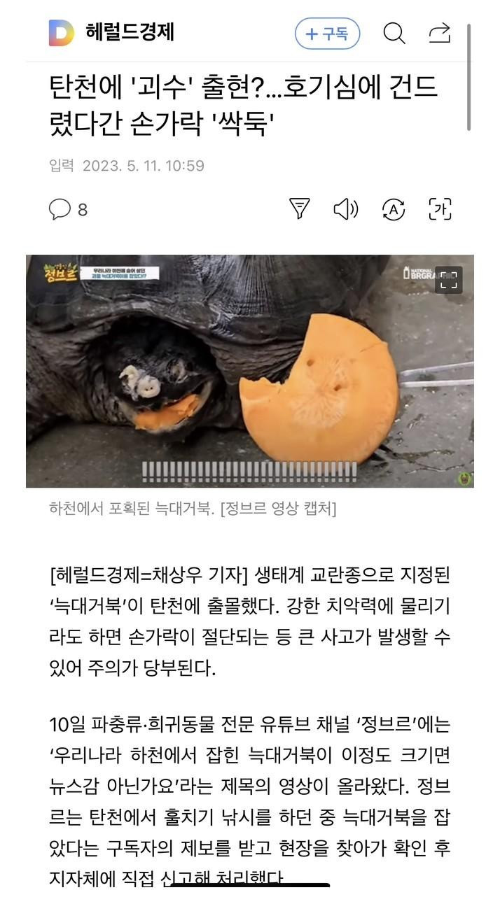 탄천에 '괴수' 출현?…건드렸다간 손가락 '싹둑'
