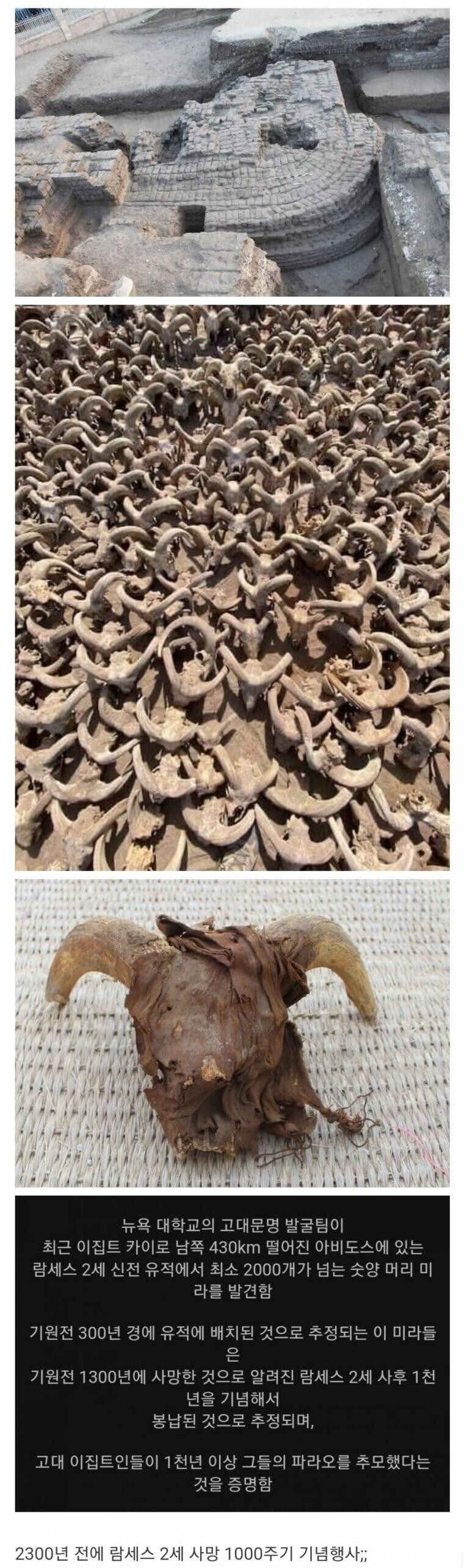 최근 발굴된 이집트 유물수준