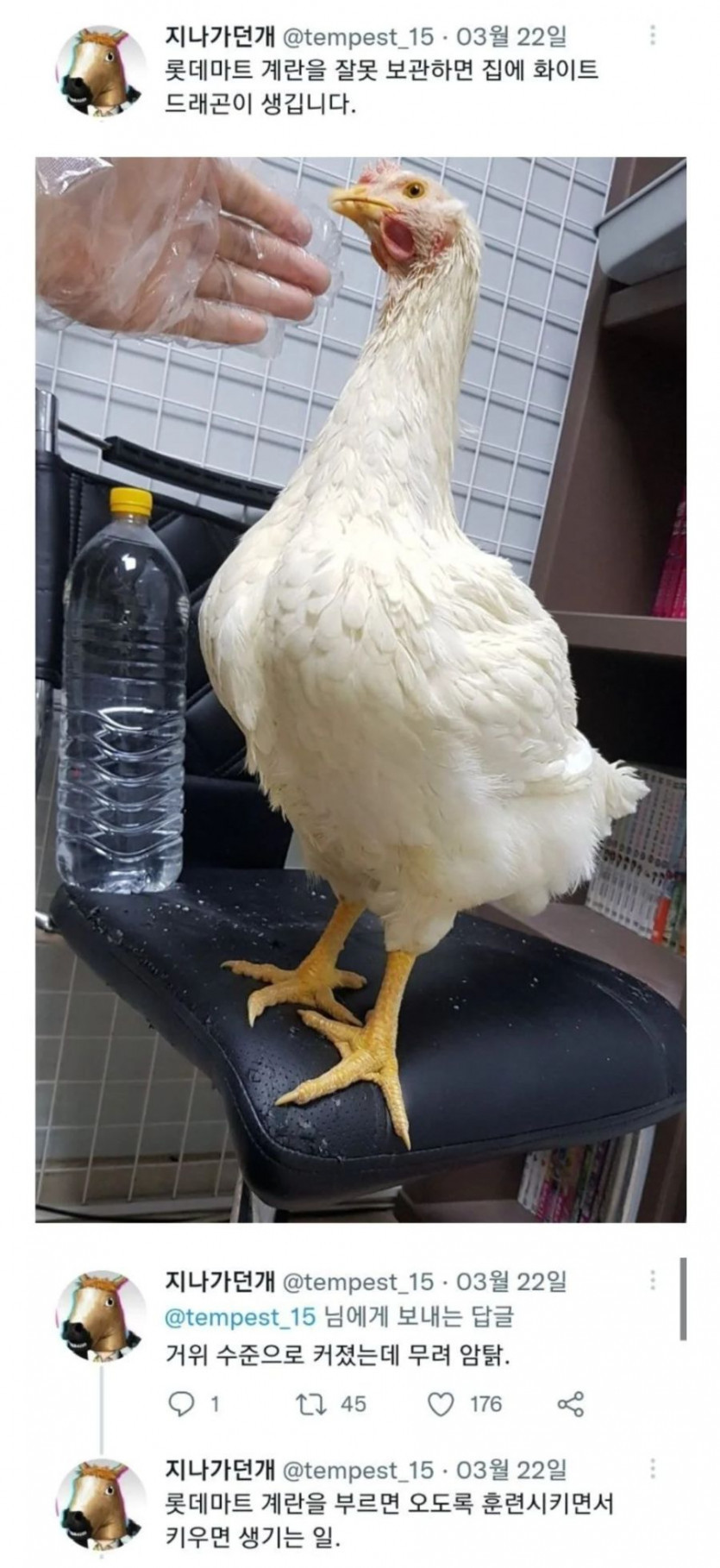 롯데마트 계란복사 버그 터짐