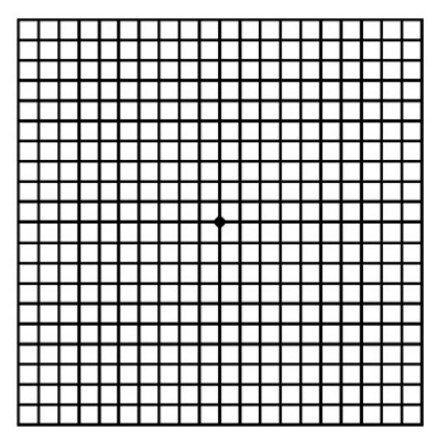 눈 수명 확인법