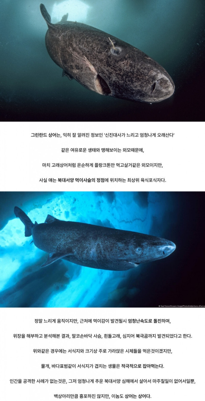 외모와 생태때문에 오해를 많이받는 생물