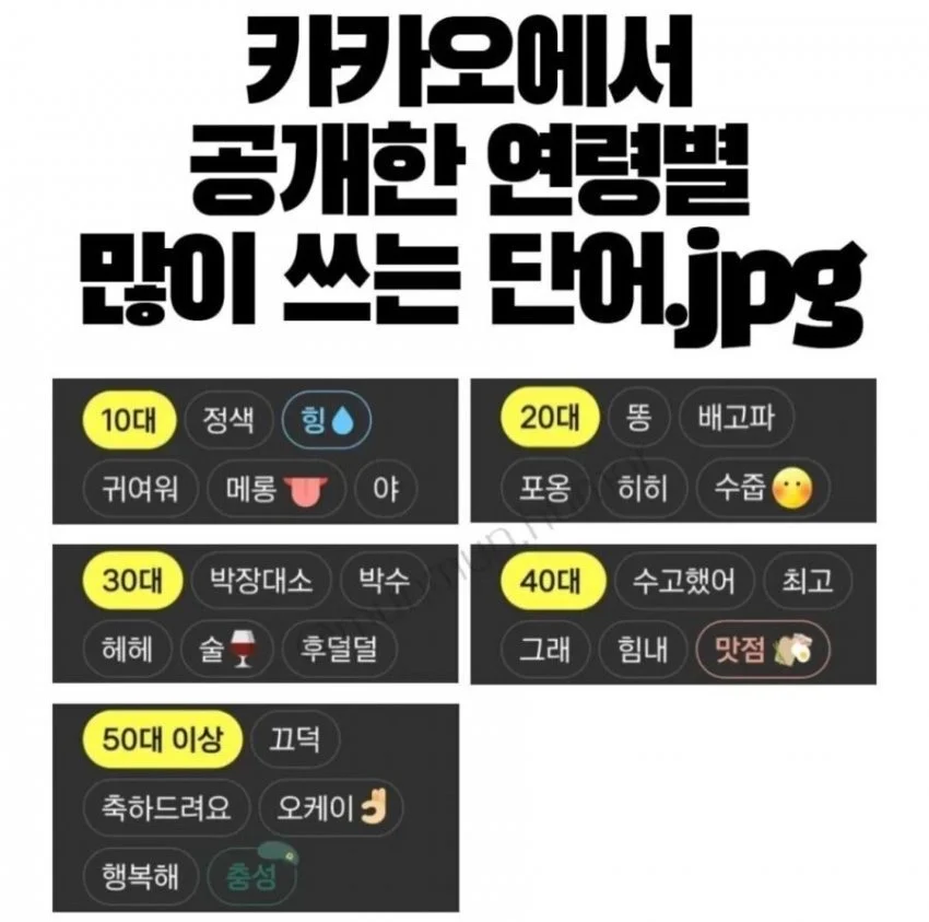 카카오톡에서 공개한 연령별 많이 쓰는 단어.jpg