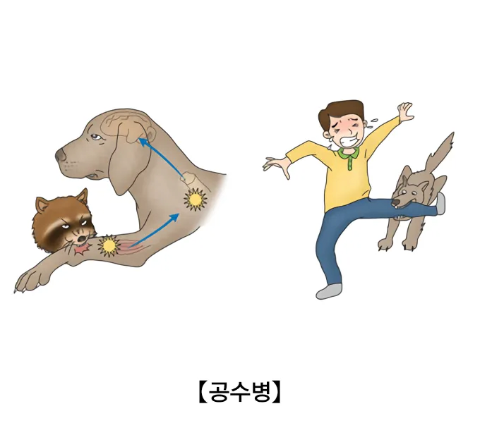 역대 전염병 사망자 순위 