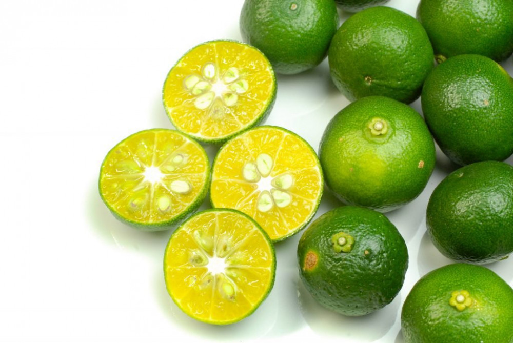 일본 오키나와현의 특산 과일, 시콰사 