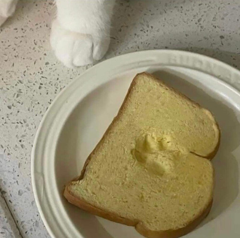 저질러 놓고 뿌듯한 표정이 킹받음