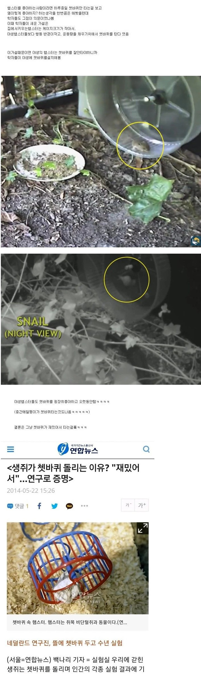 햄스터들이 쳇바퀴를 타는 이유