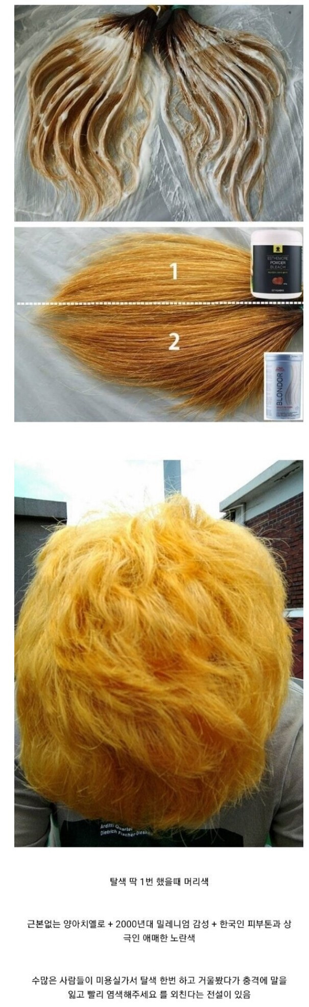 한국인을 가장 못생기게 만들수 있는 머리색