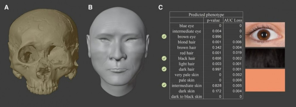 두개골로 복원된 1500년 전 중국 황제 북주 무제의 얼굴