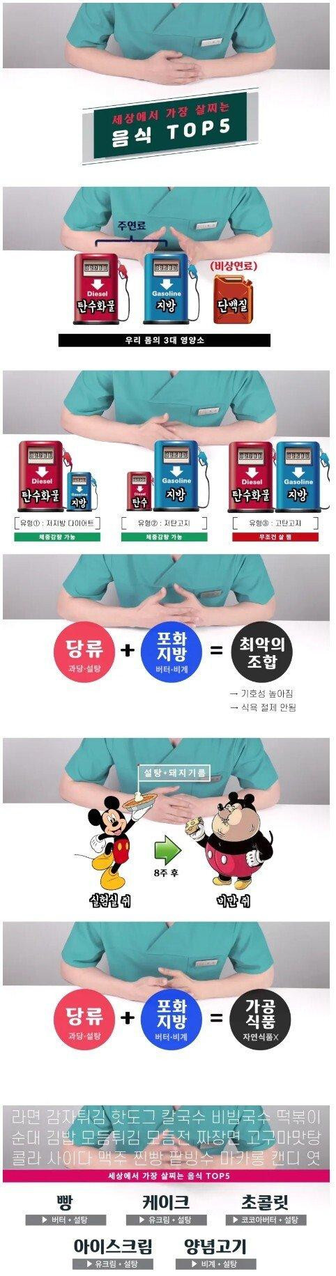 세상에서 가장 살찌는 음식 top5