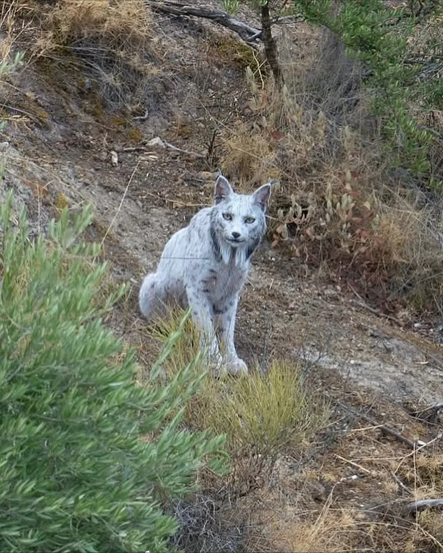 오늘자 세계 최초로 공개 된 동물