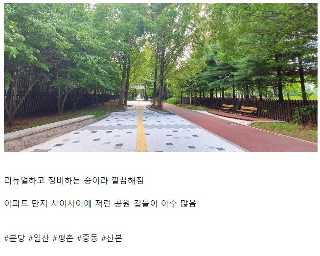 요즘 1기 신도시 아파트 공원길
