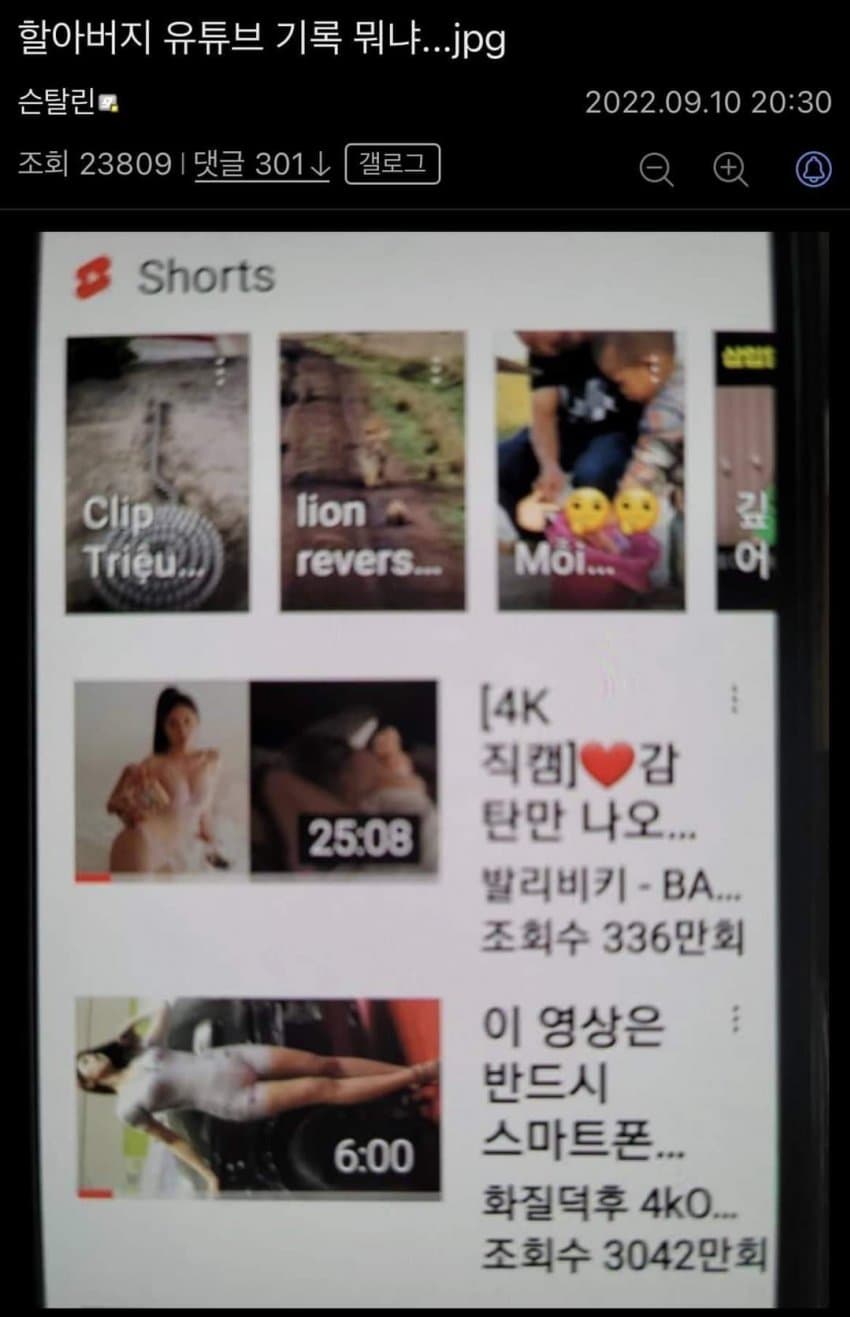 명절 기념 디씨 야갤 레전드 모음