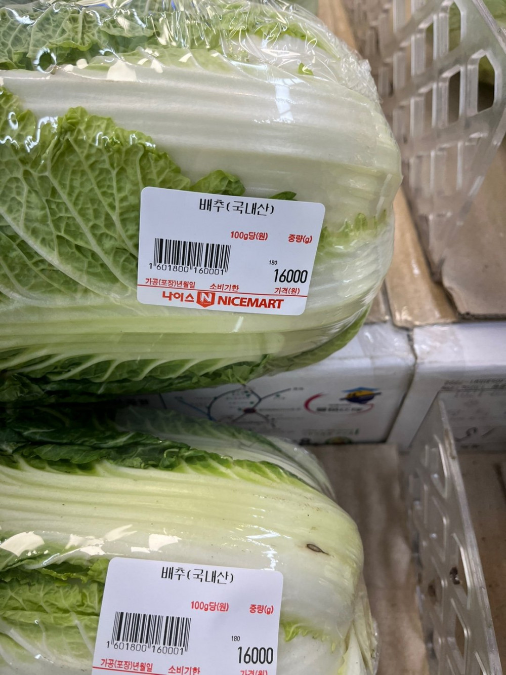 진짜 갈 데까지 간 요즘 배추 가격