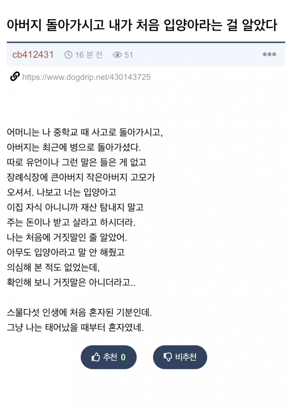 입양의 현실. JPG