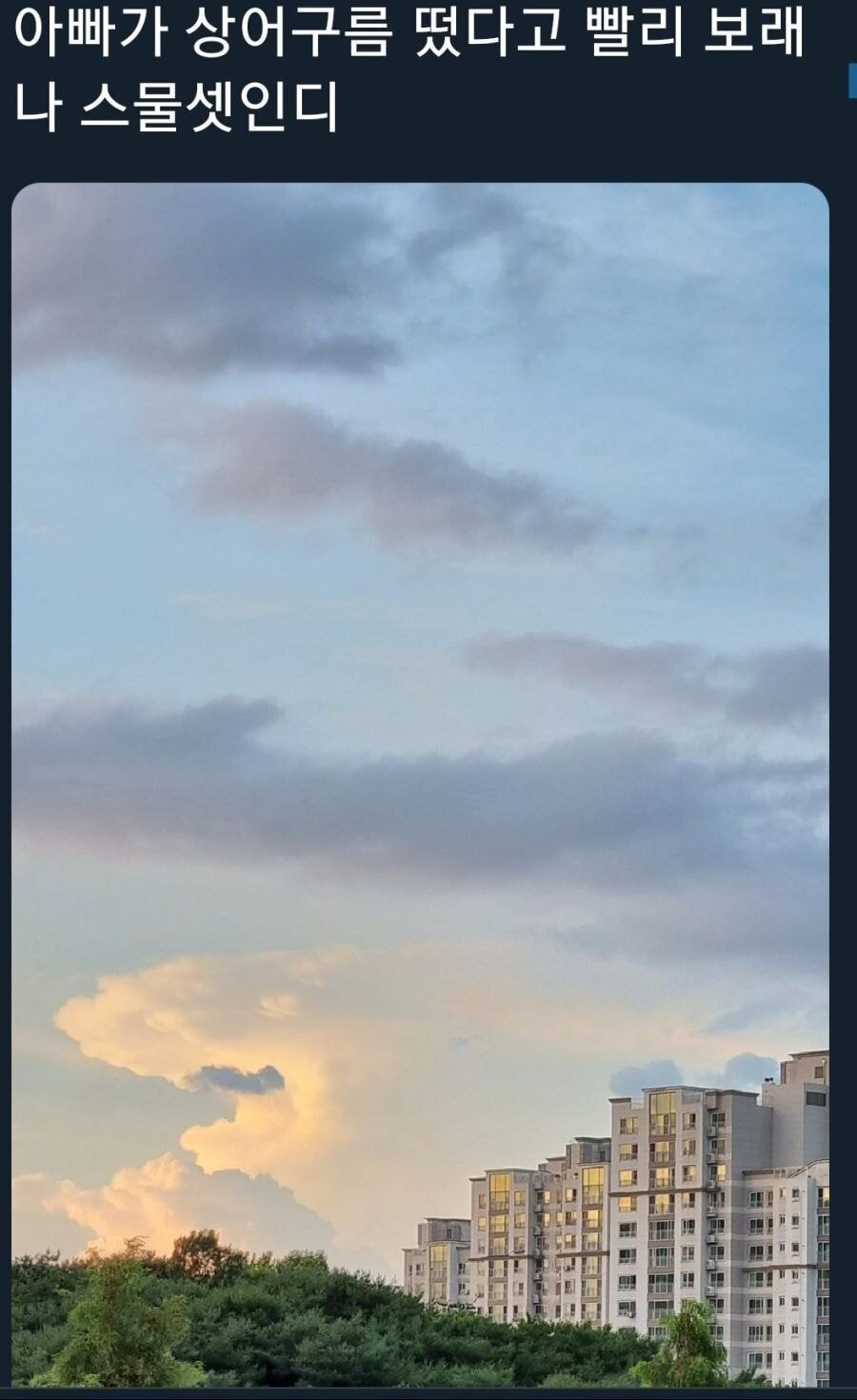 아빠가 상어구름 떴다고 빨리보래... 나 23살인디