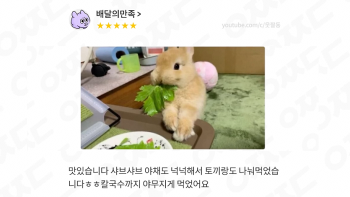 토끼도 만족한 배민 후기