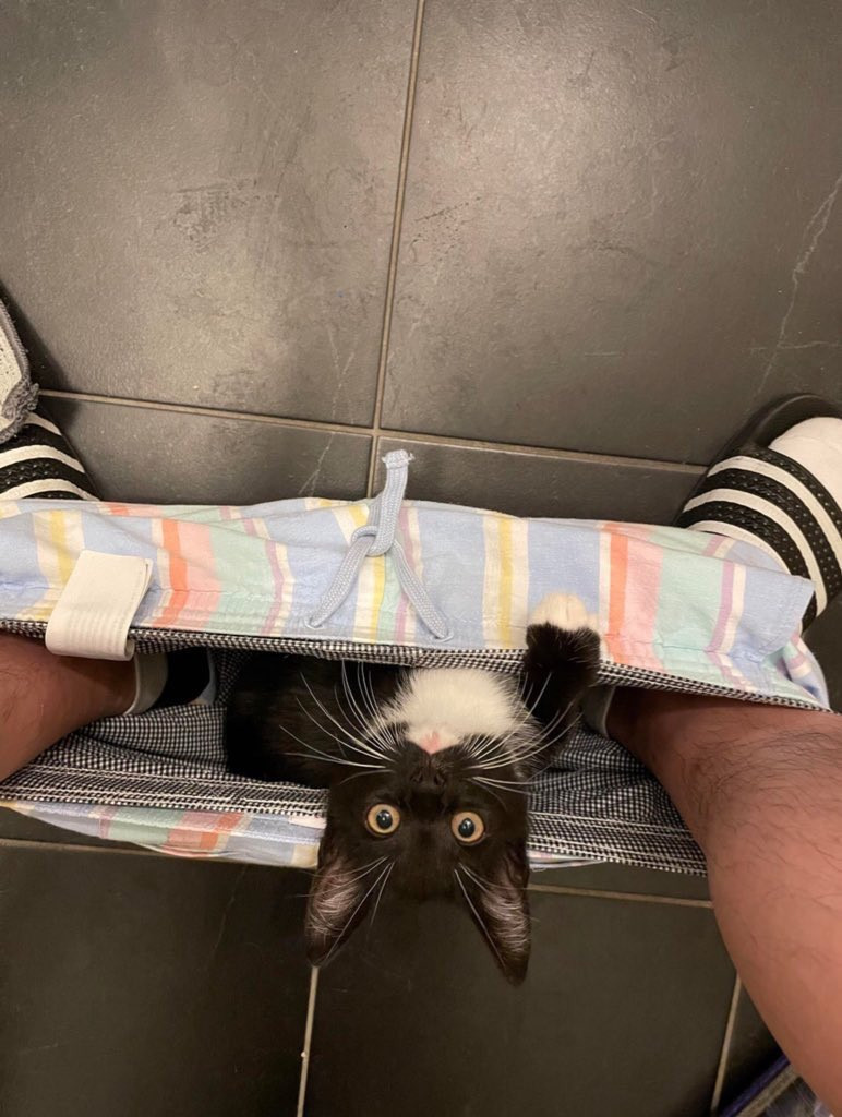 화장실에 묶어두기