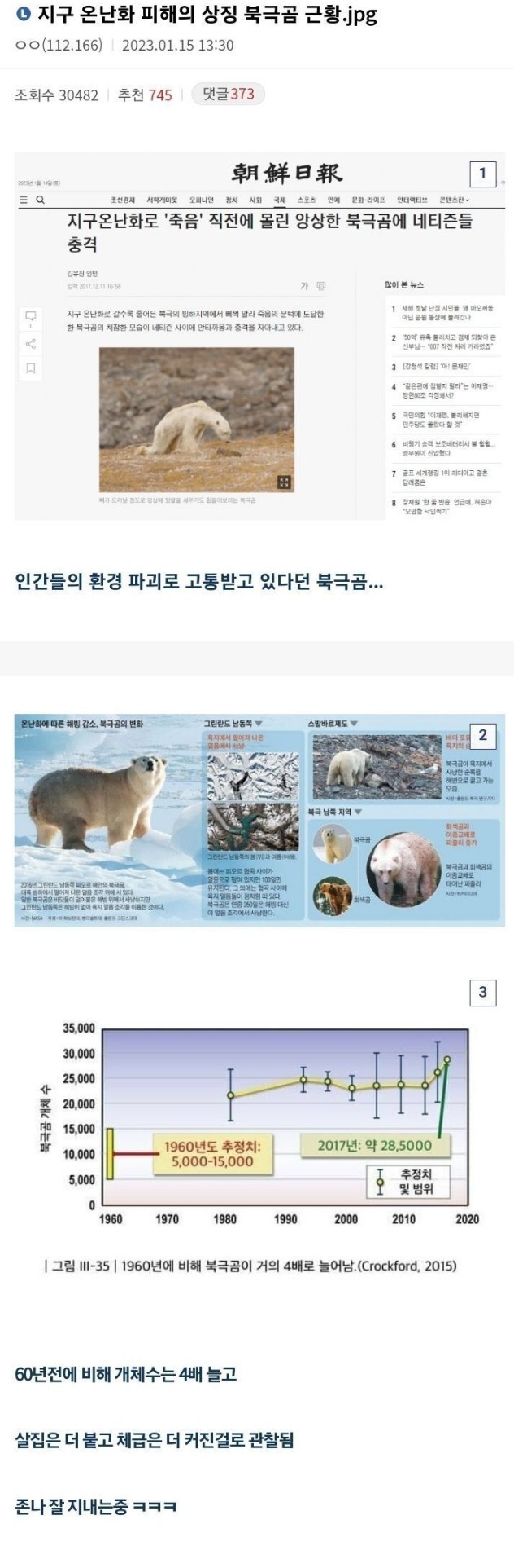 지구온난화의 대표적 피해자 북극곰 근황