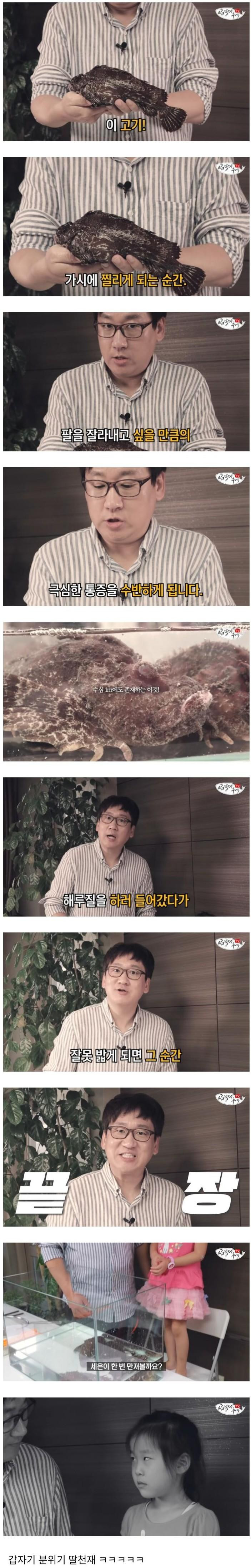 가시에 찔리면 큰일나는 맹독을 지닌 생선