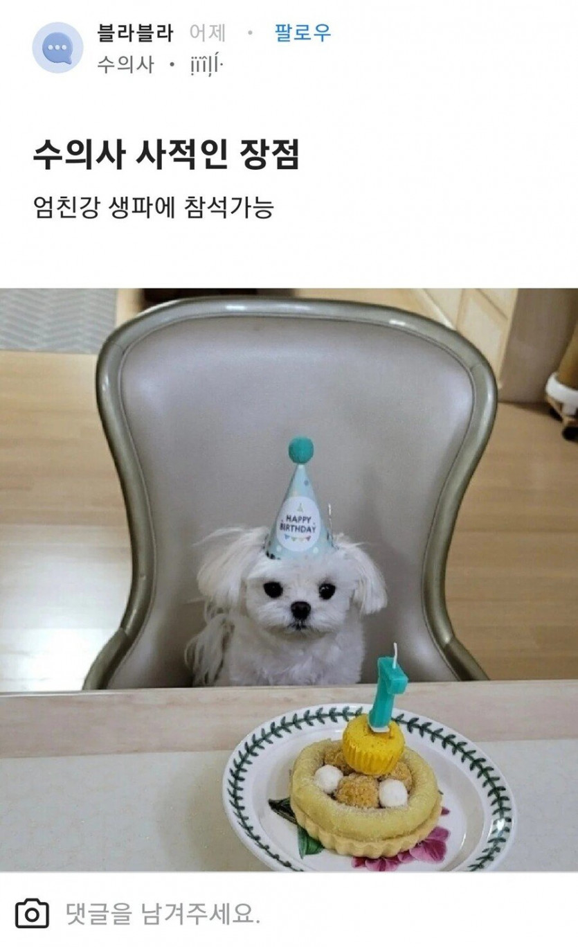 수의사의 사적인 장점.jpg
