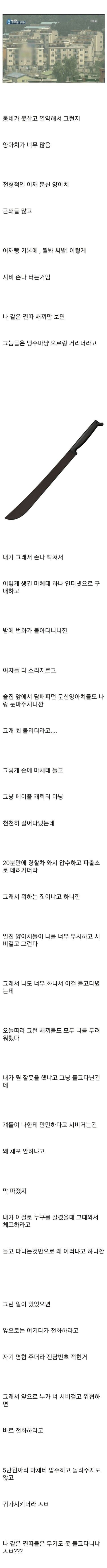 번화가에 흉기들고 돌아다닌 찐따