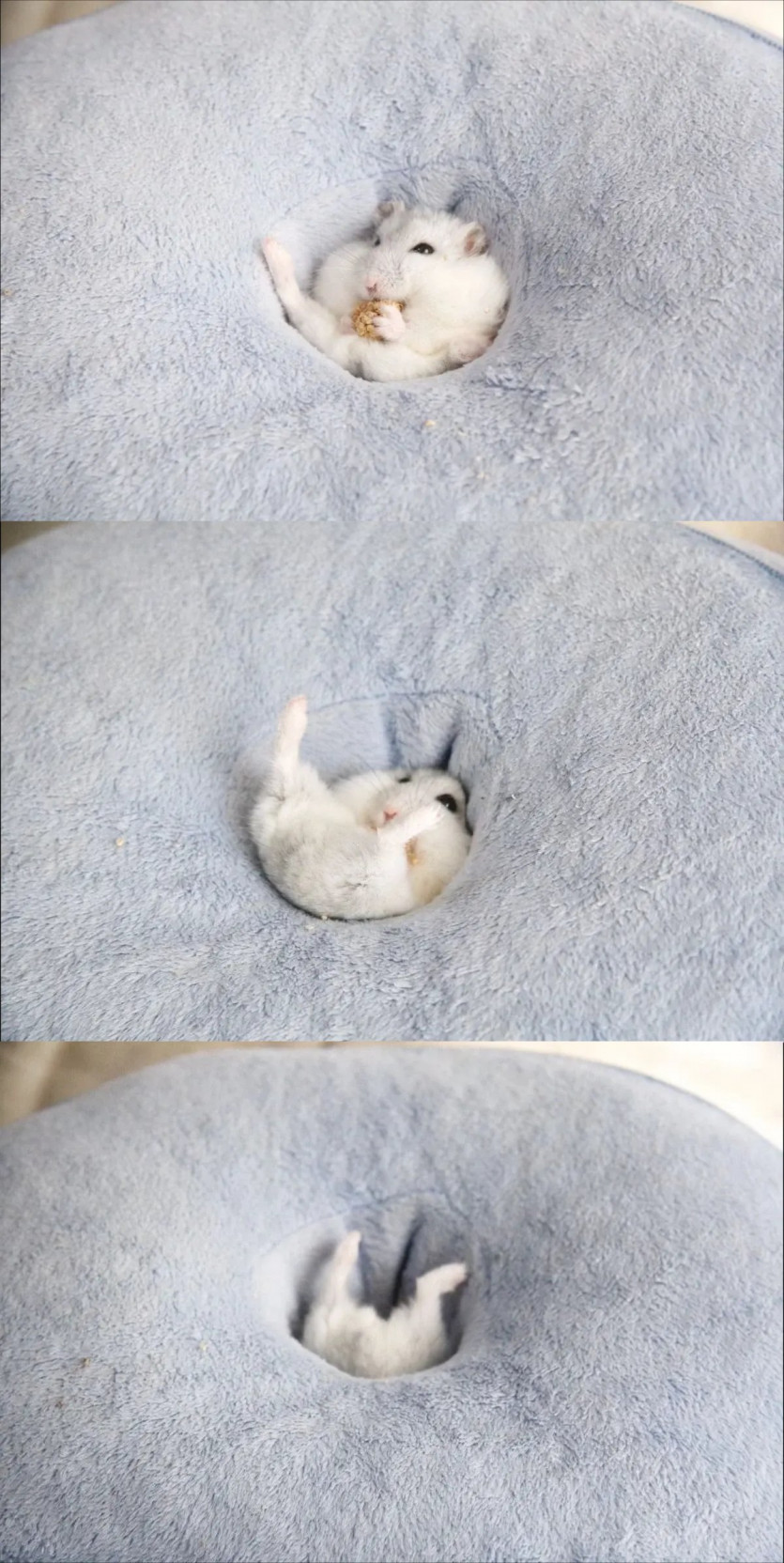 밥먹다 구멍에 빠짐