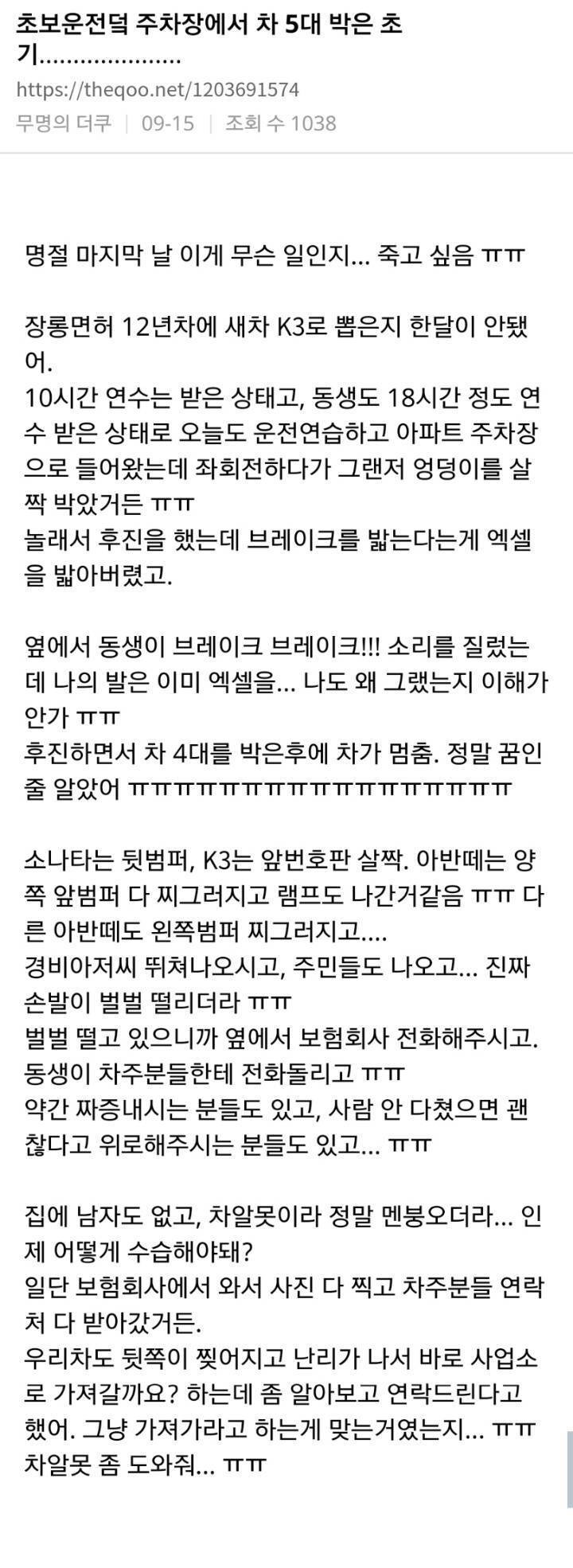 초보운전 주차장에서 차 5대 박았어