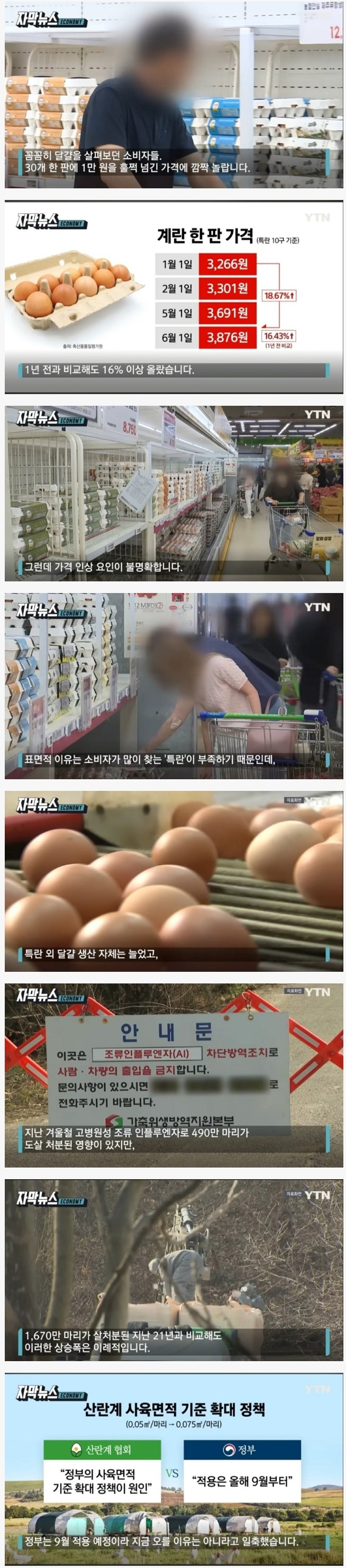 일본 쌀값 폭등 비웃던 한국 근황