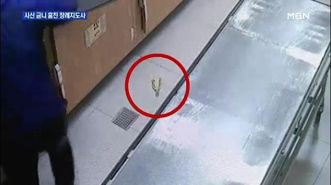 어제 엽기사건.. 시신 안치실 시신에서 금니 뽑아 훔친 장례 지도사..jpggif