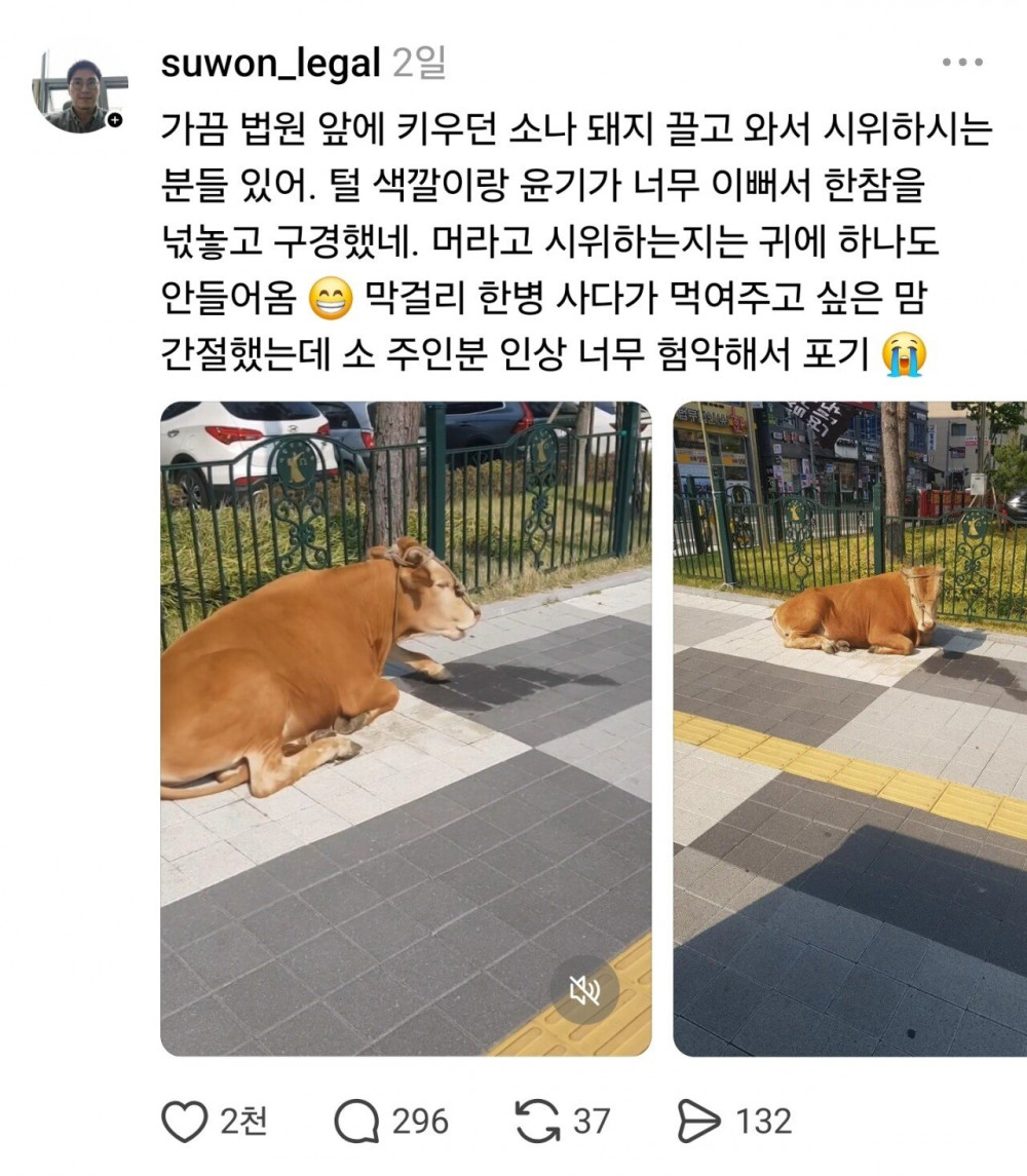 변호사가 법원 앞에서 마주치는 것