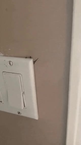 약혐) 공포영화 도입부.GIF