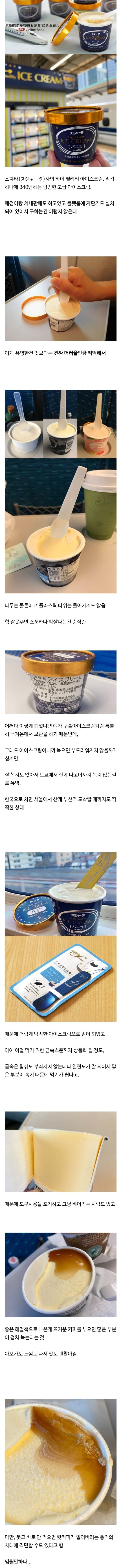 더럽게 안 녹기로 유명한 일본 신칸센 아이스크림