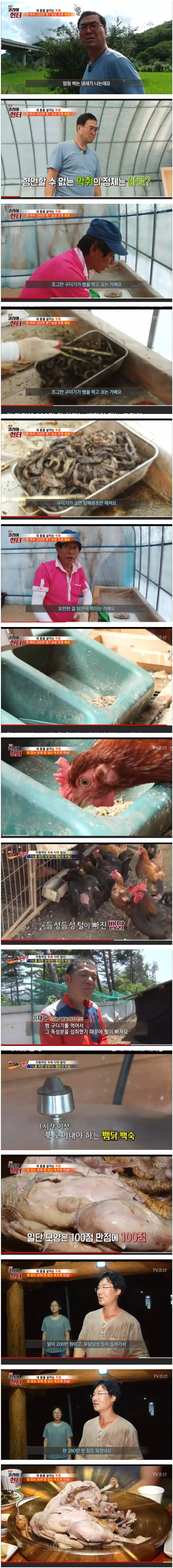 280만원짜리 닭백숙